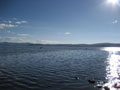 sunlight on the lake.JPG